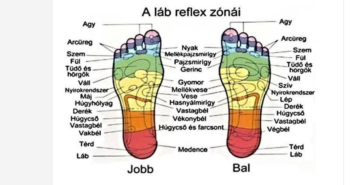 ÍGY GYÓGYULJ A TALPADON KERESZTÜL! MUTATJUK A TALPTÉRKÉPET! MENTSD EL A CIKKET, HASZNOS LEHET