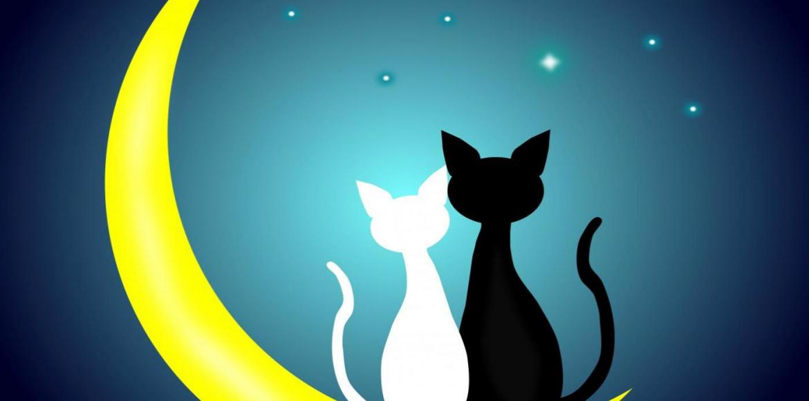 A Hold és a szerelem – ki illik hozzád? 2. rész