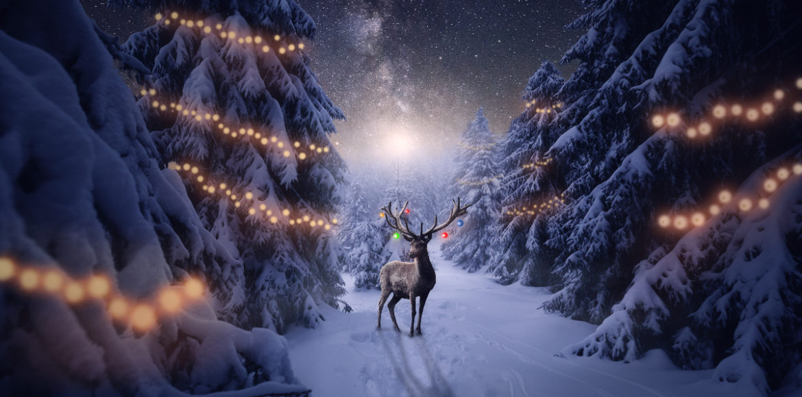 Heti holdhoroszkóp karácsony hetére: a Bak újholddal minden tervünk sikerül