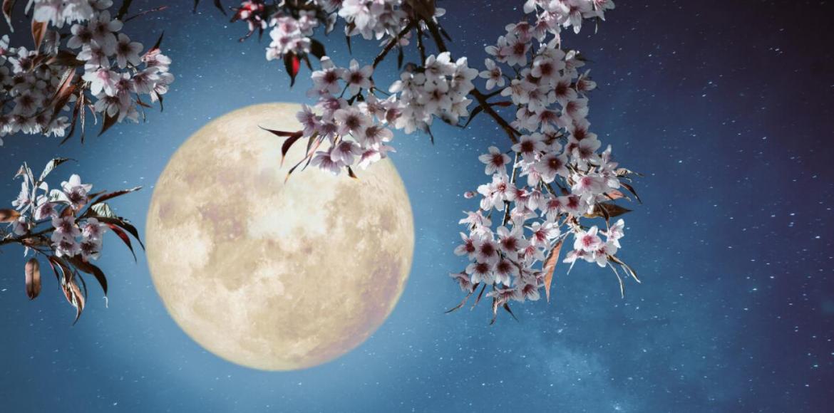 Napi horoszkóp 2023. április 6.: A telihold sok ellentétet jelez csütörtökön