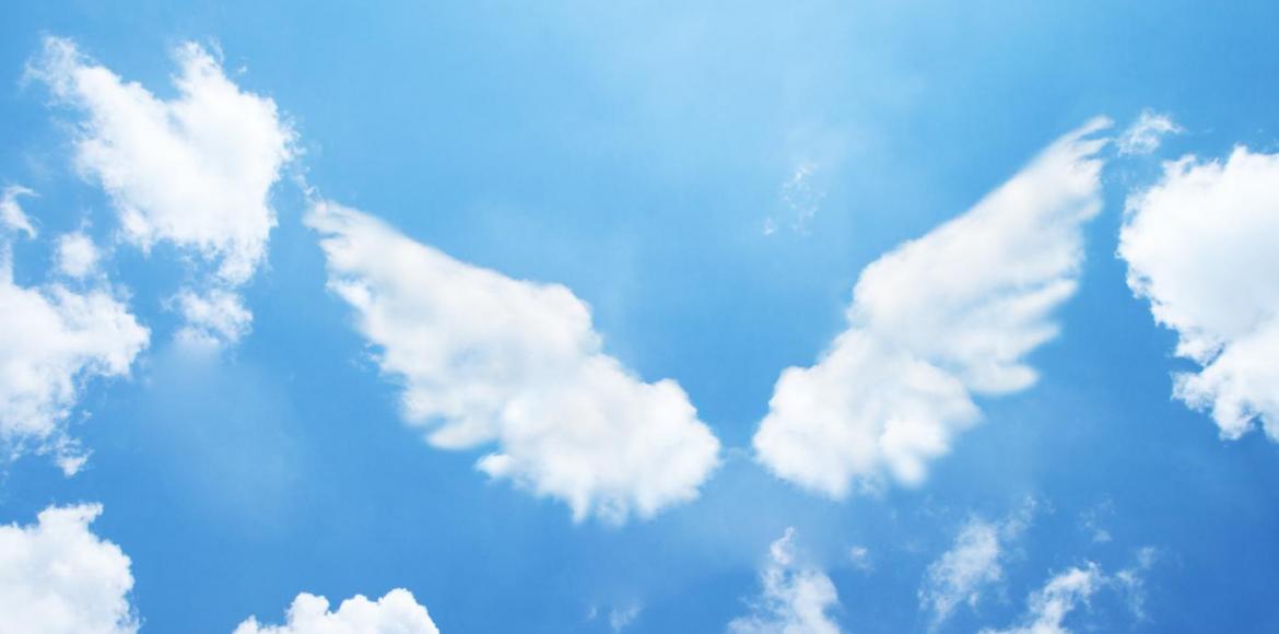 A Tudásvágy Angyala segít minket január 26. és 30. között