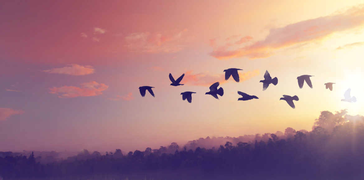 Így engedd el a haragod!