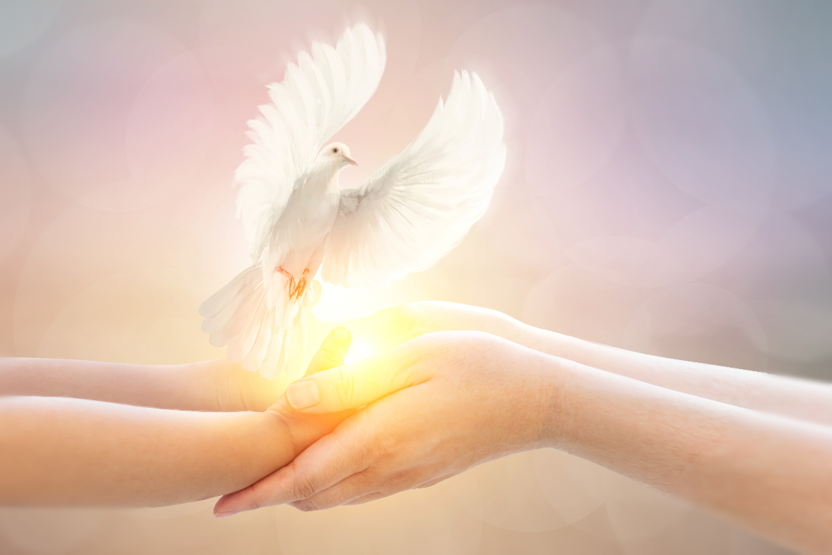 A Védelem angyala urakodik július 17. és 22. között